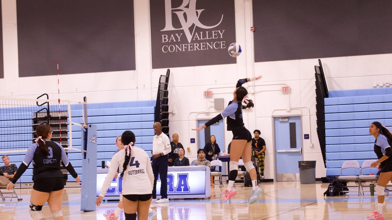 VOLLEYBALL 10125 (502)