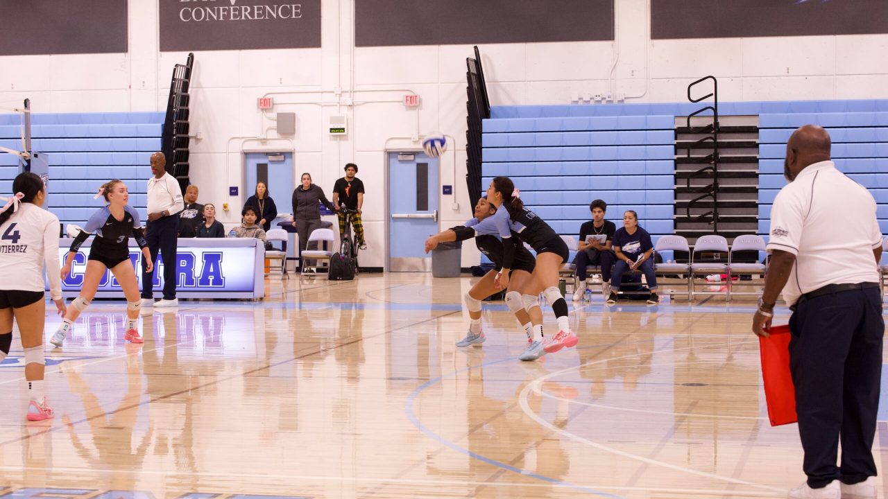 VOLLEYBALL 10125 (517)