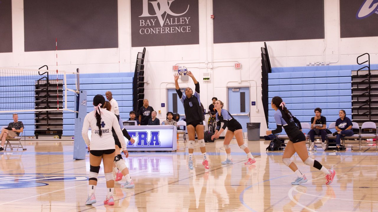 VOLLEYBALL 10125 (524)