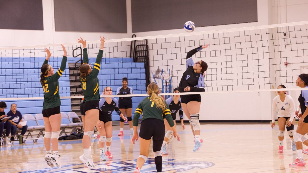 VOLLEYBALL 10125 (56)