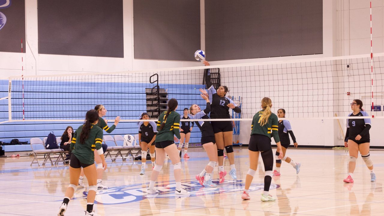 VOLLEYBALL 10125 (63)