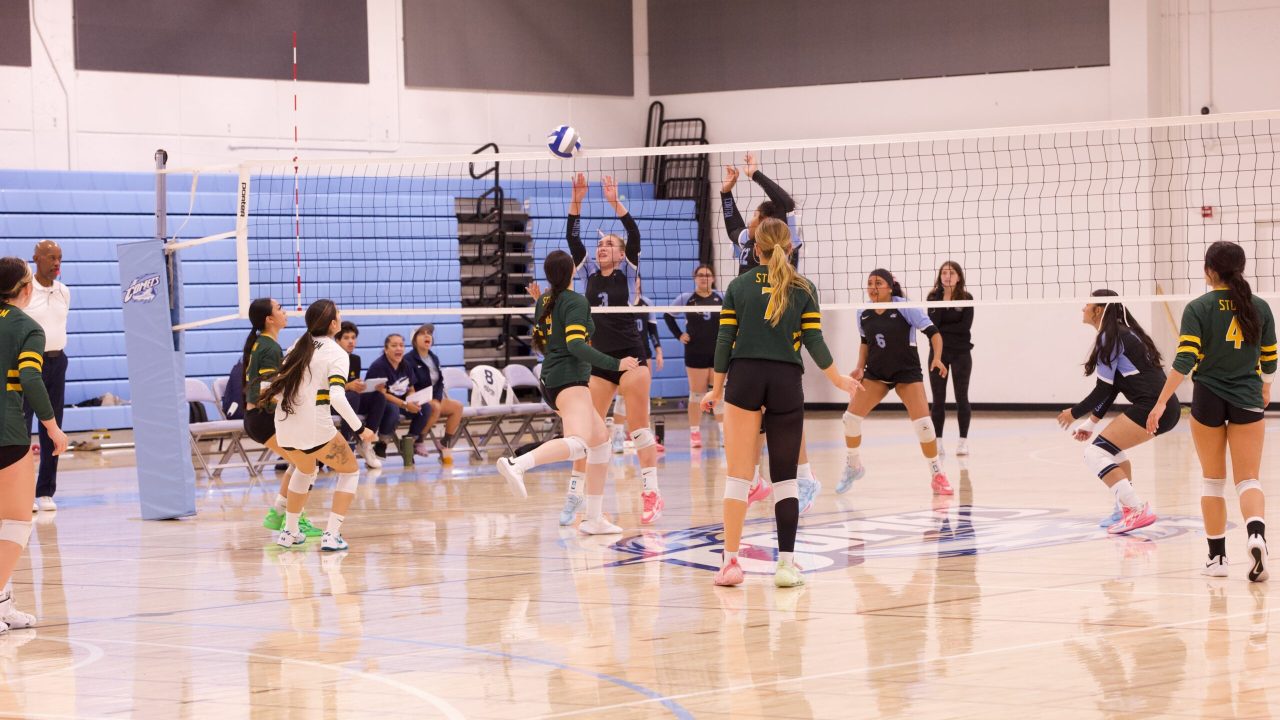 VOLLEYBALL 10125 (73)