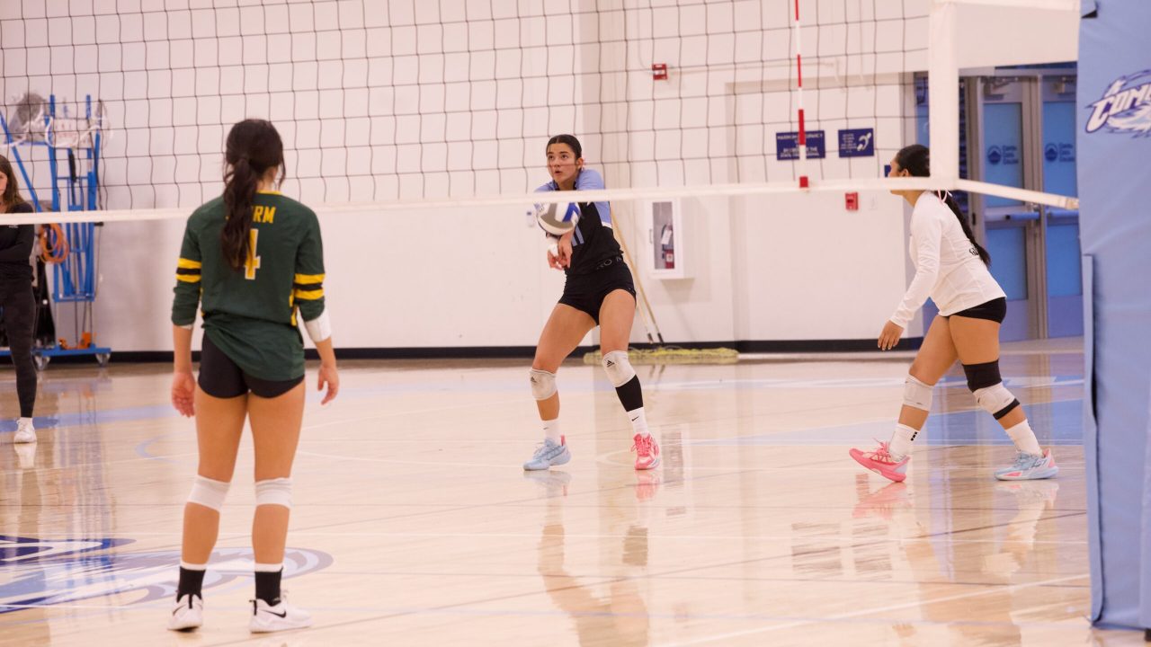 VOLLEYBALL 10125 (76)