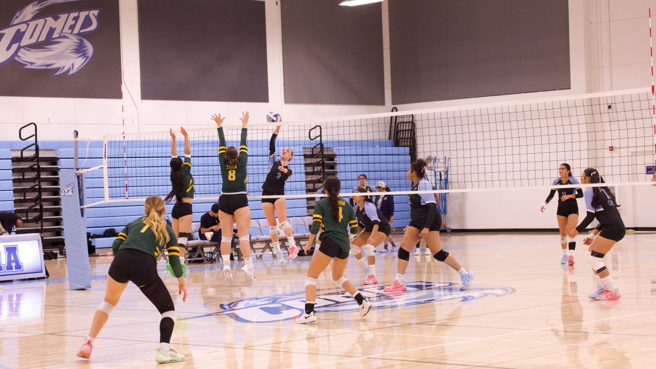 VOLLEYBALL 10125 (77)