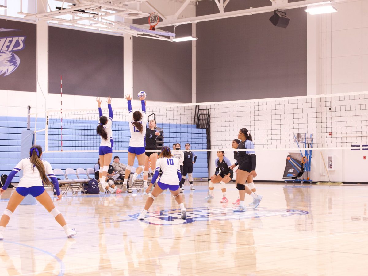 VOLLEYBALL 10825 (107)