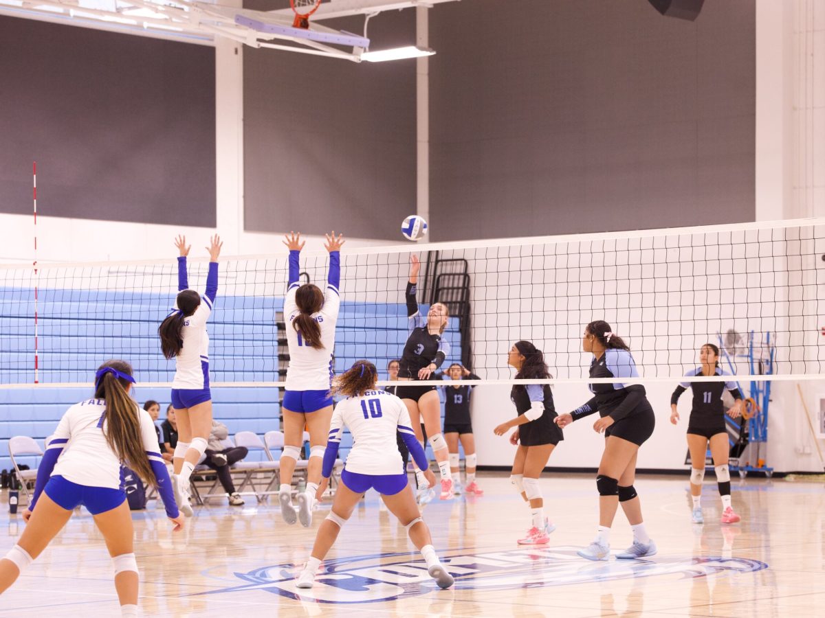 VOLLEYBALL 10825 (127)