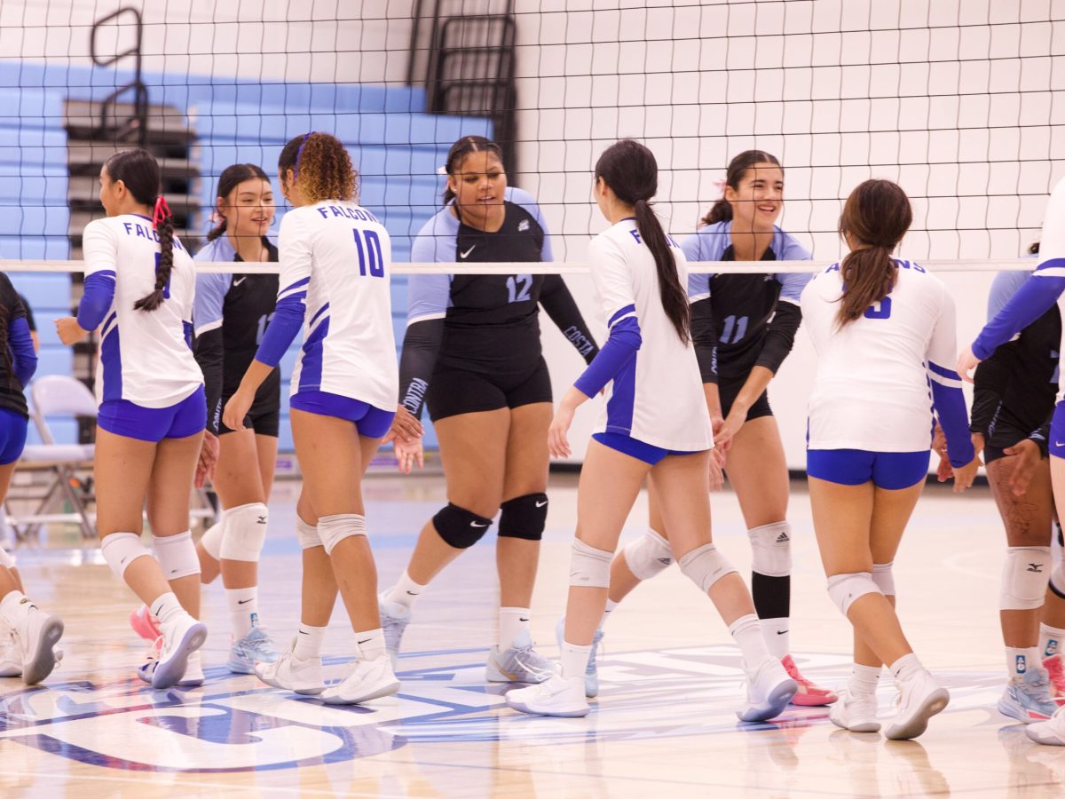 VOLLEYBALL 10825 (13)