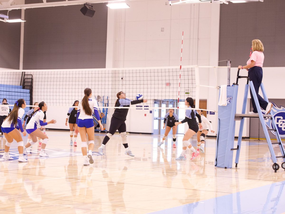 VOLLEYBALL 10825 (135)