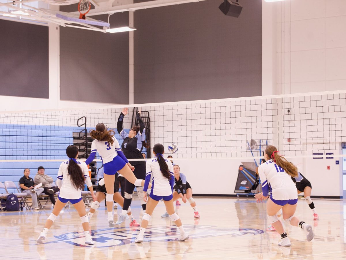 VOLLEYBALL 10825 (170)