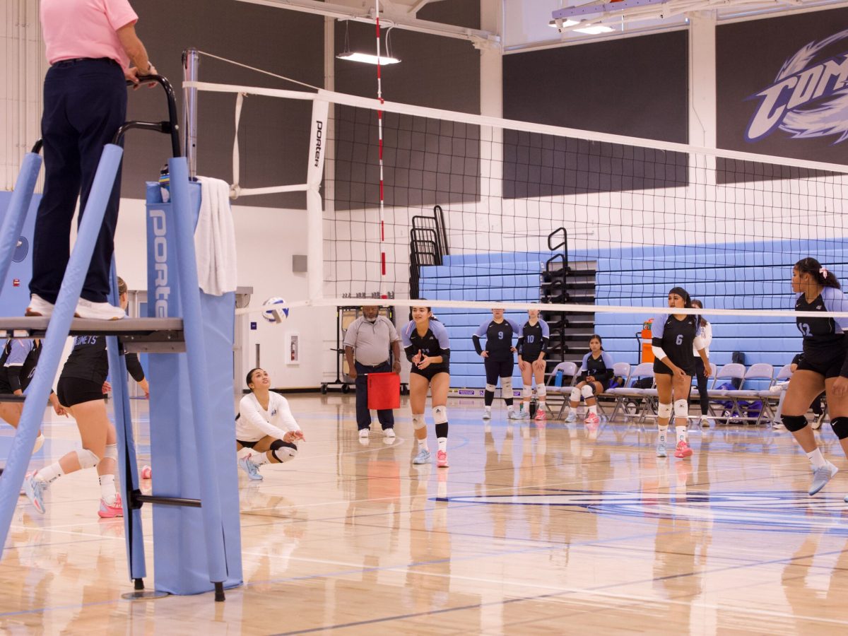 VOLLEYBALL 10825 (176)