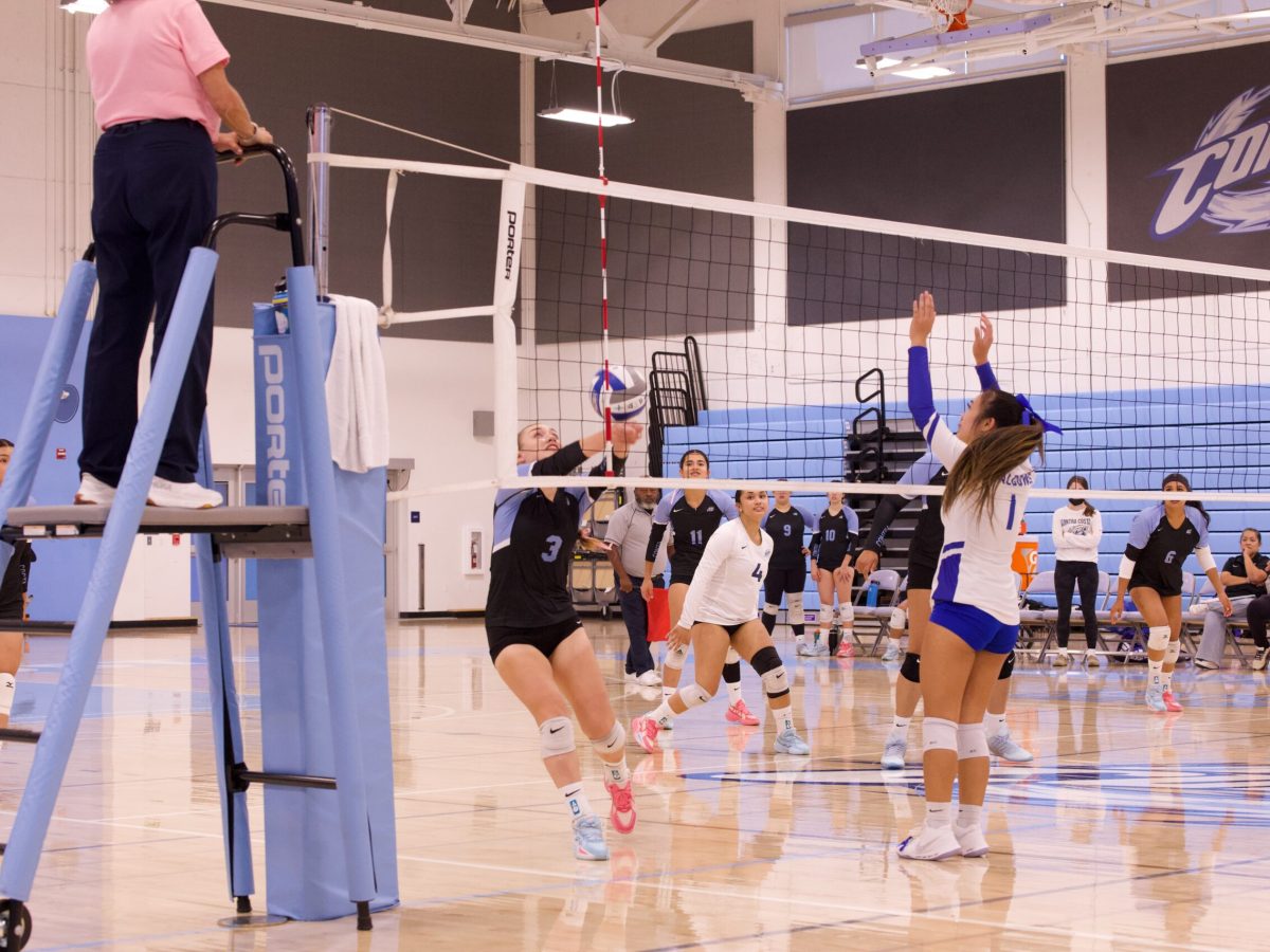 VOLLEYBALL 10825 (177)