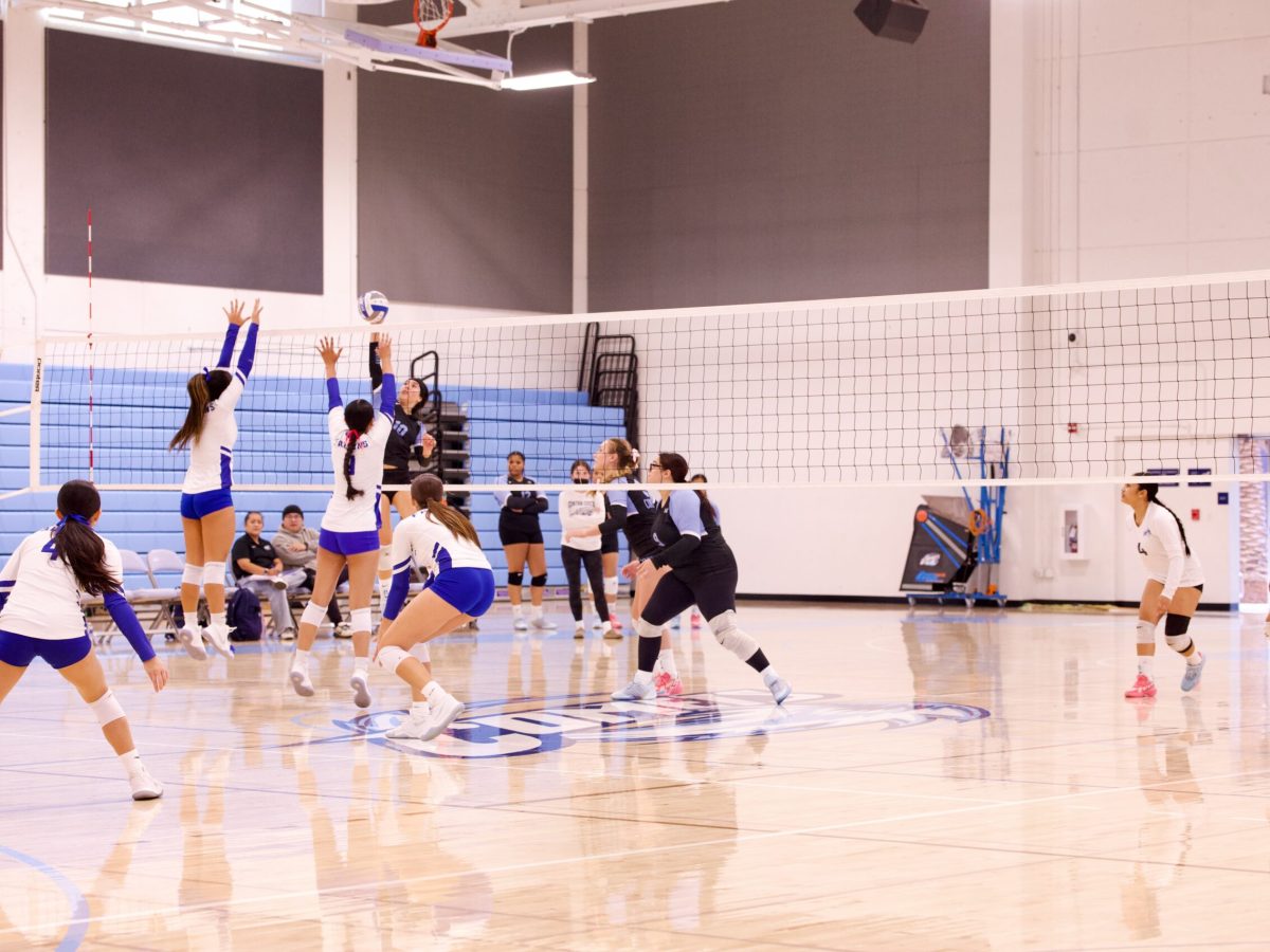 VOLLEYBALL 10825 (21)