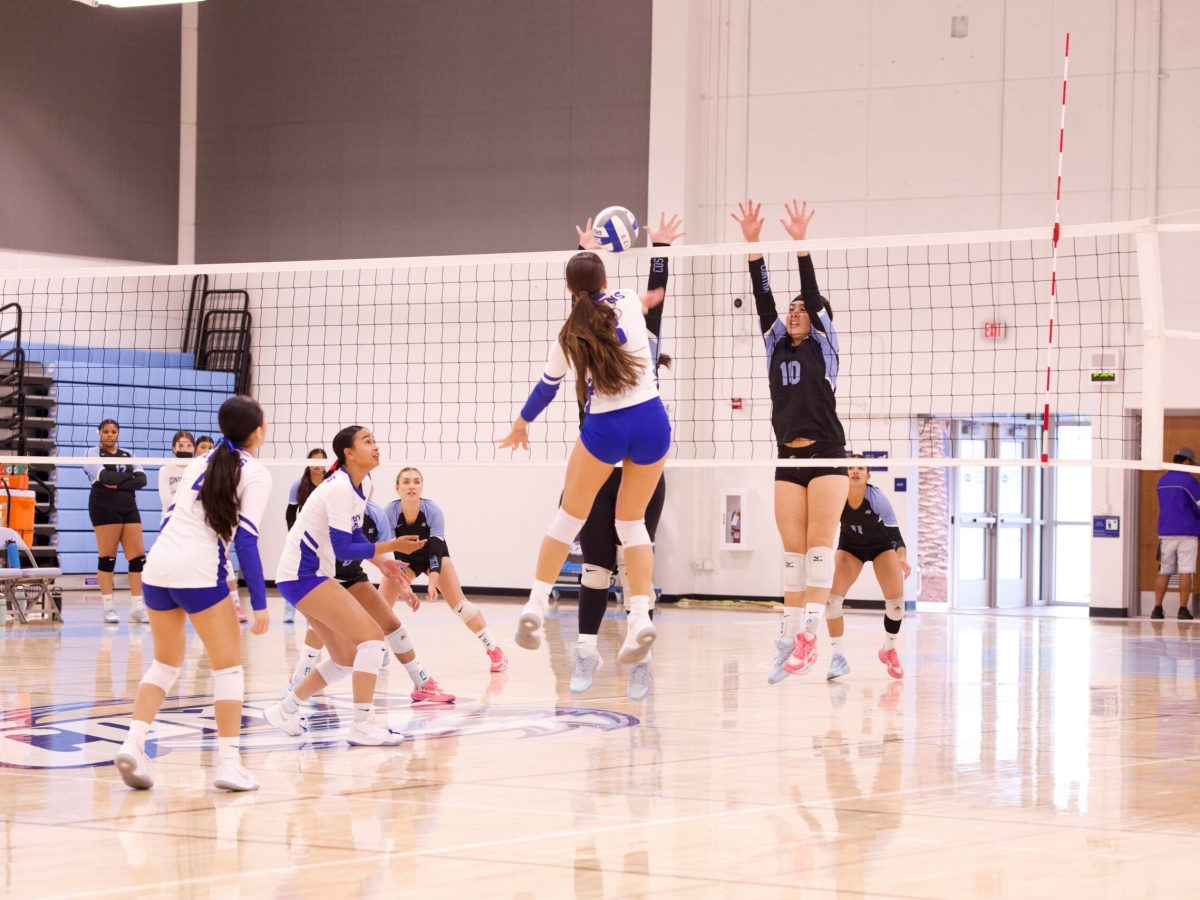 VOLLEYBALL 10825 (23)