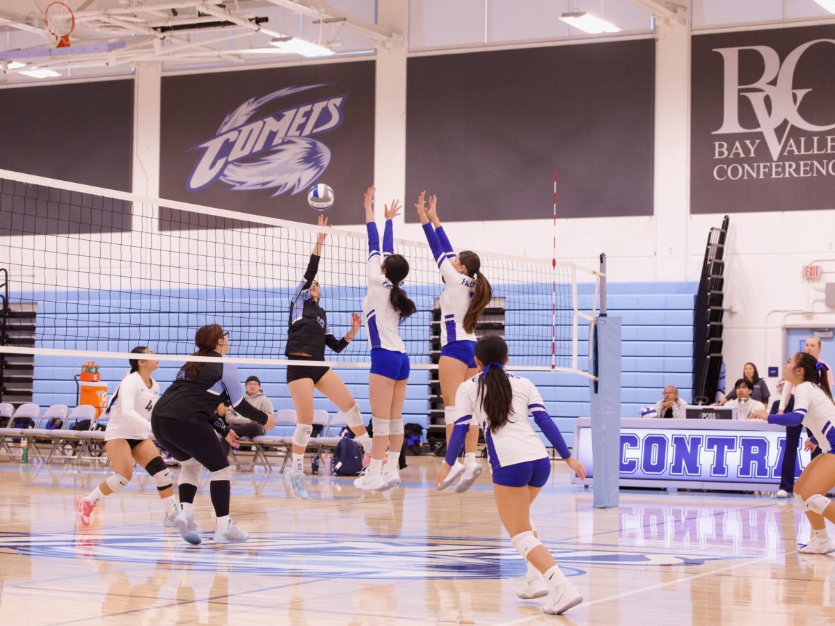 VOLLEYBALL 10825 (249)