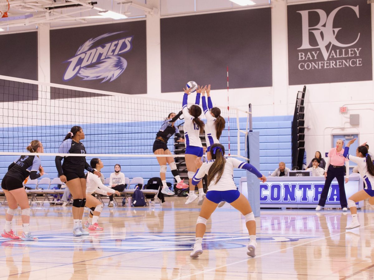 VOLLEYBALL 10825 (267)