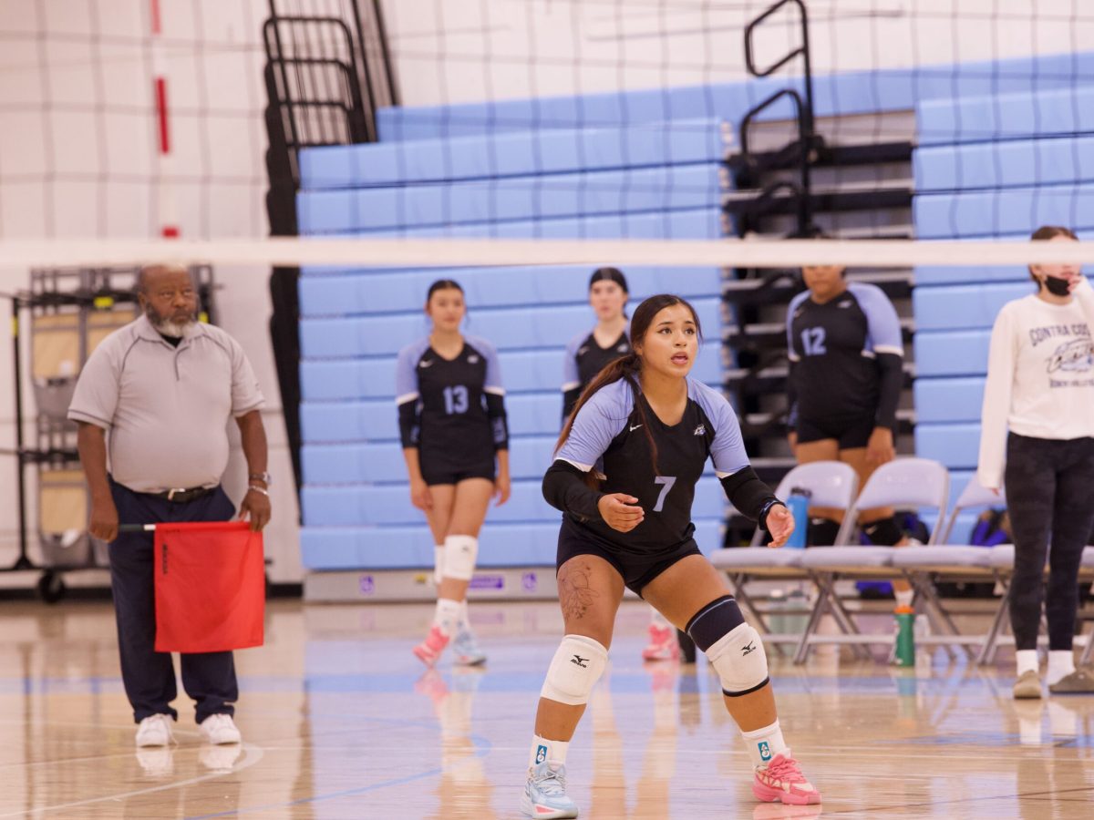 VOLLEYBALL 10825 (287)