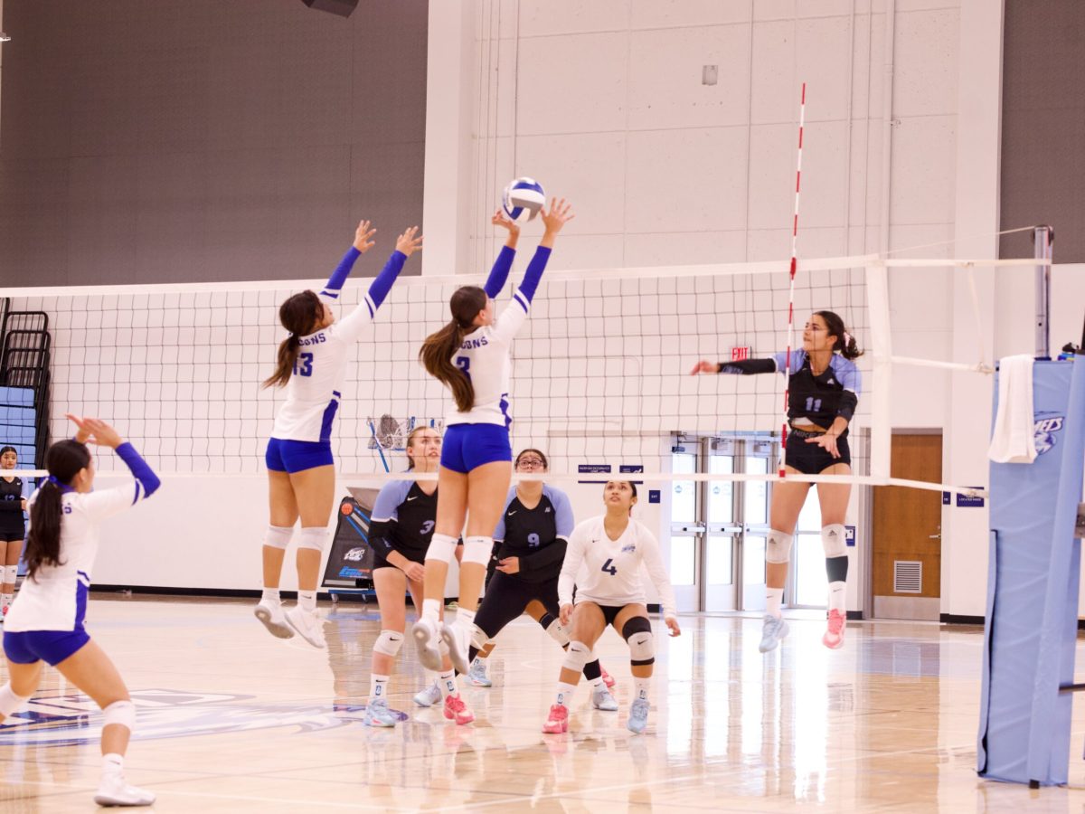 VOLLEYBALL 10825 (33)