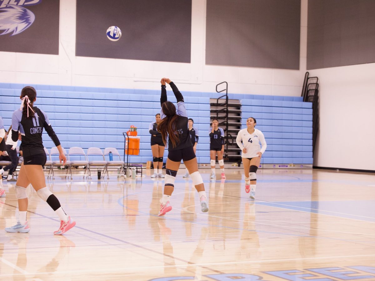 VOLLEYBALL 10825 (337)