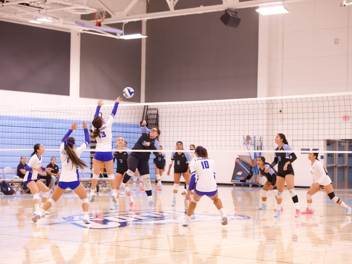 VOLLEYBALL 10825 (363)