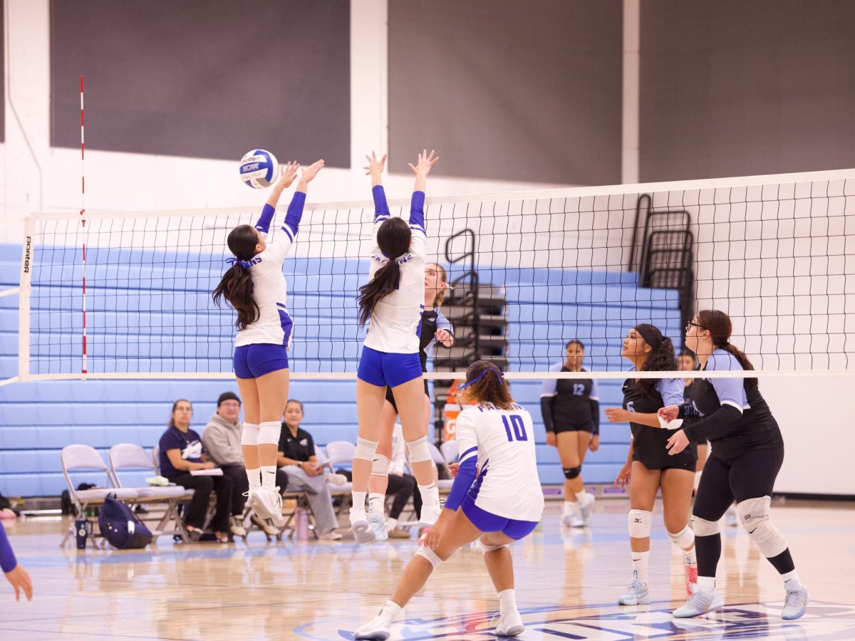 VOLLEYBALL 10825 (371)