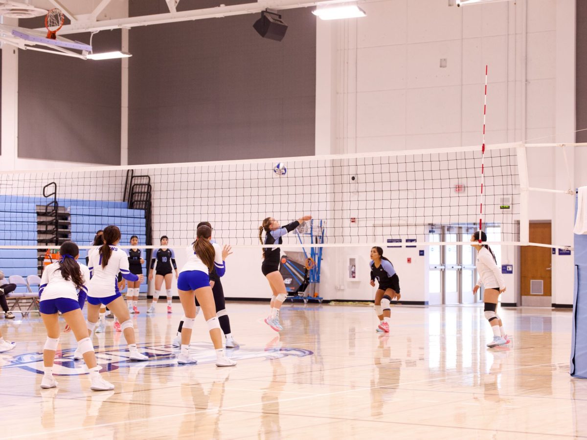 VOLLEYBALL 10825 (38)