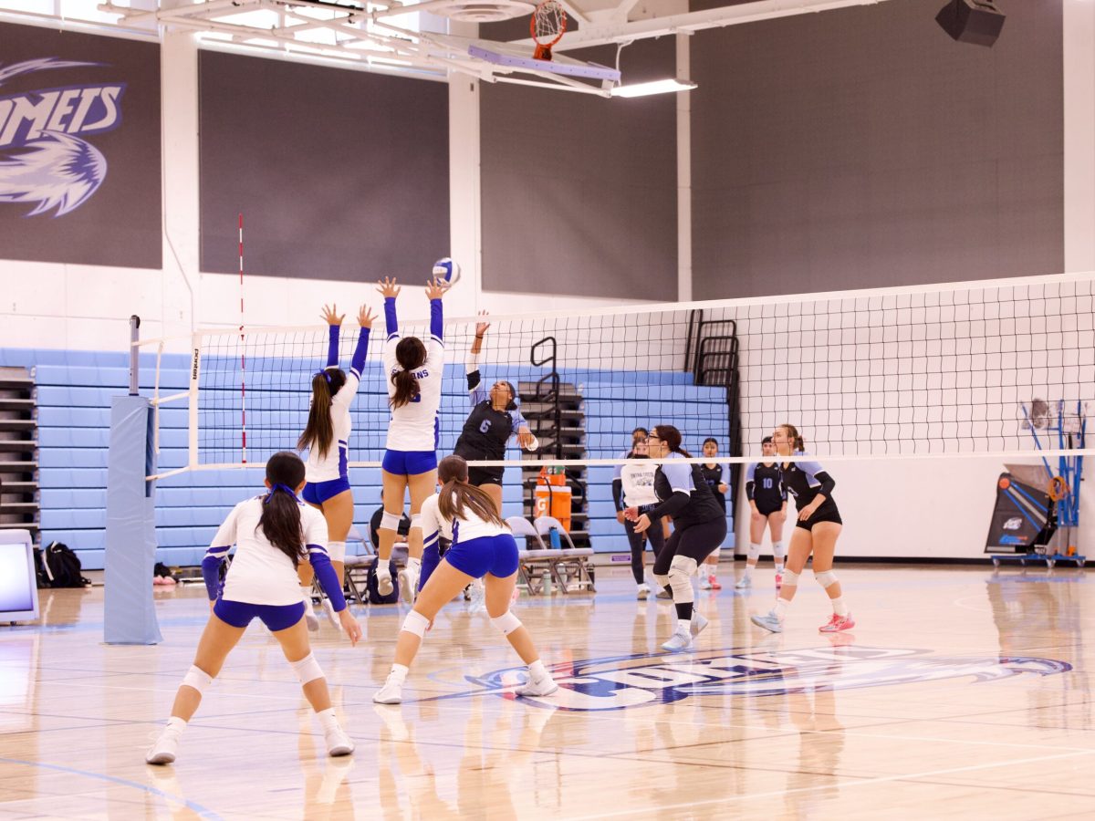 VOLLEYBALL 10825 (39)