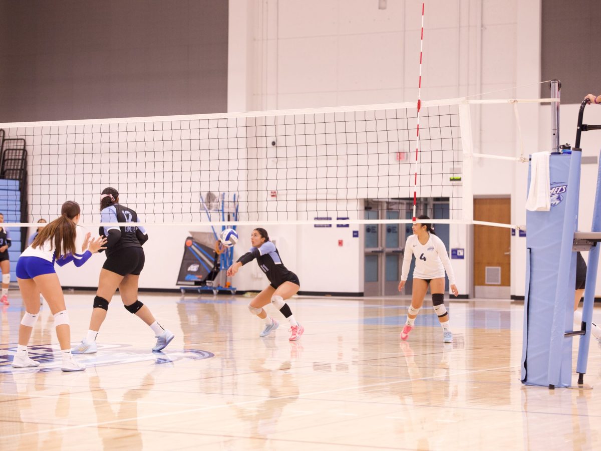 VOLLEYBALL 10825 (390)