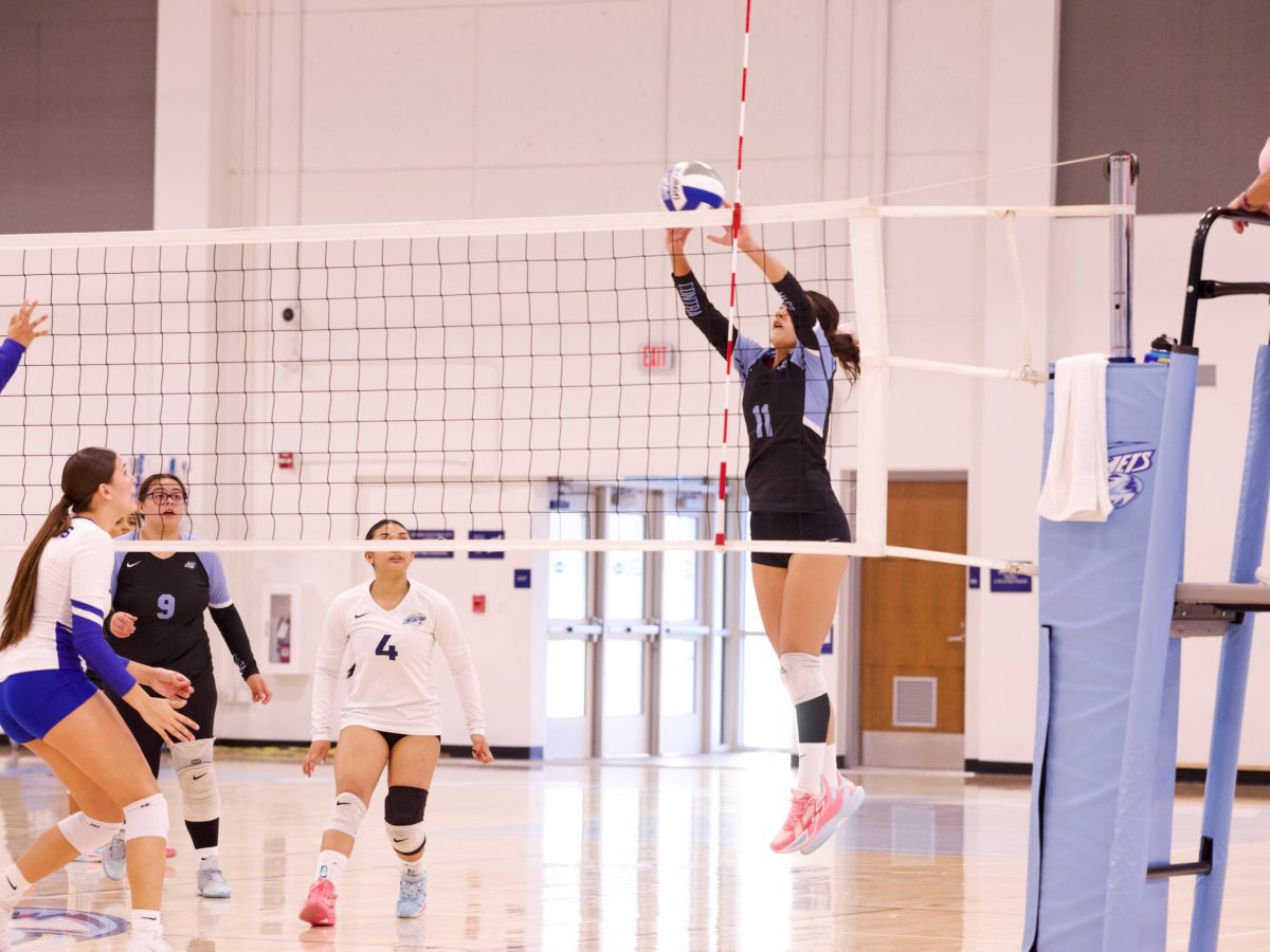 VOLLEYBALL 10825 (41)