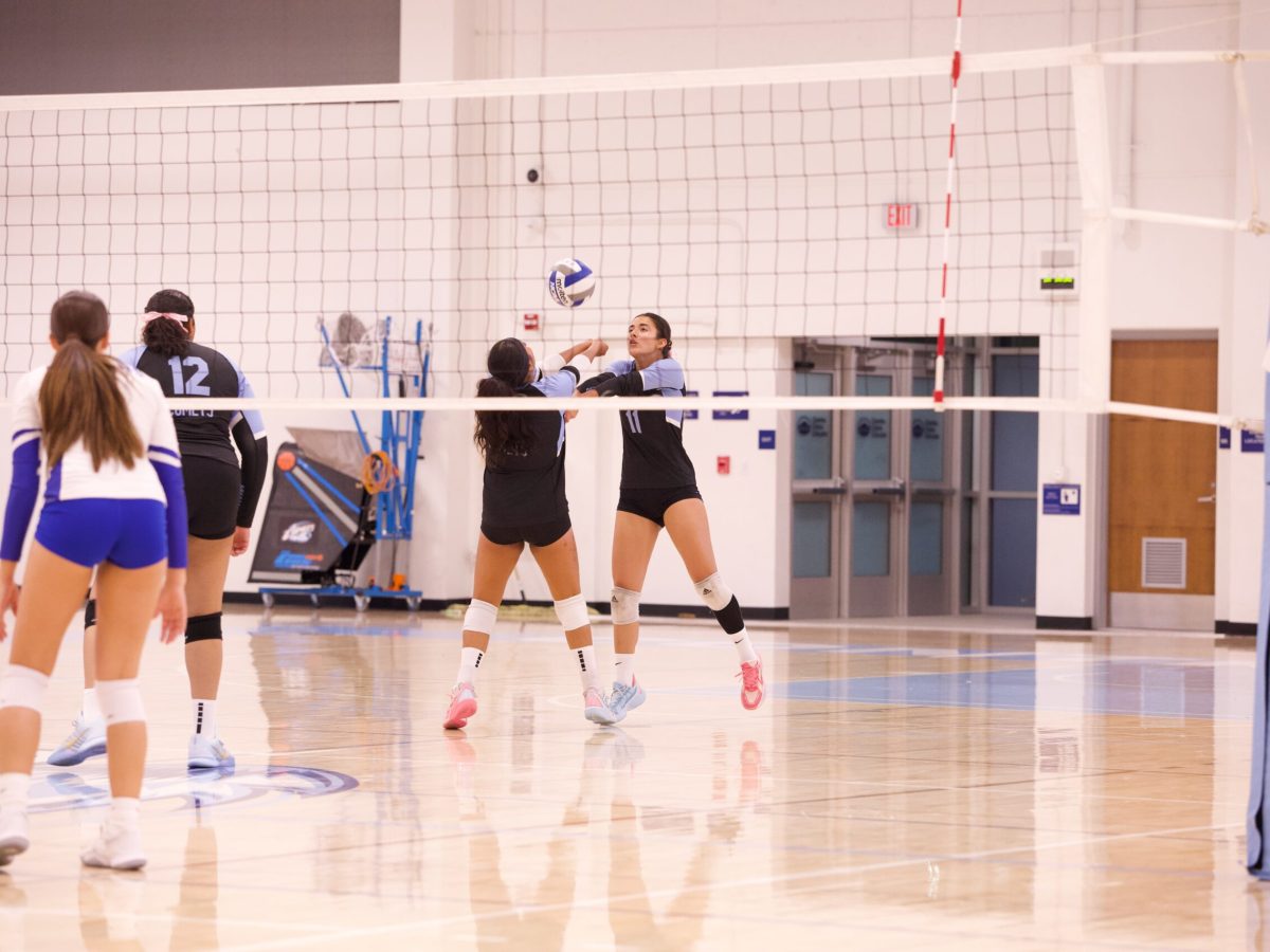 VOLLEYBALL 10825 (412)