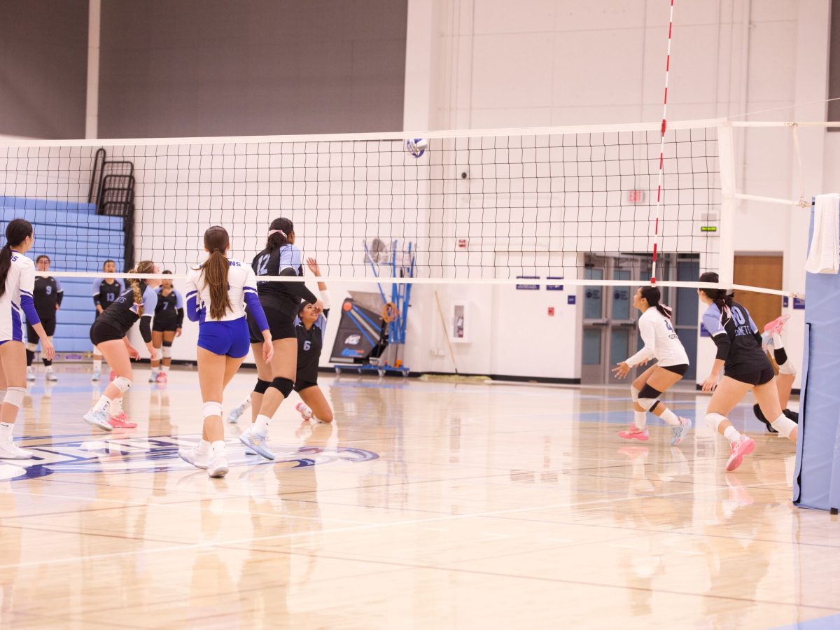 VOLLEYBALL 10825 (426)