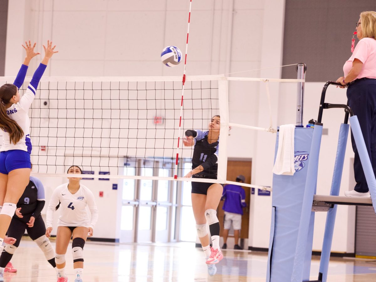 VOLLEYBALL 10825 (48)