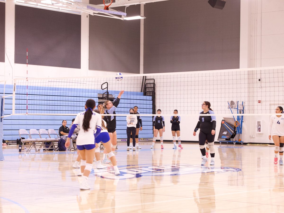 VOLLEYBALL 10825 (50)