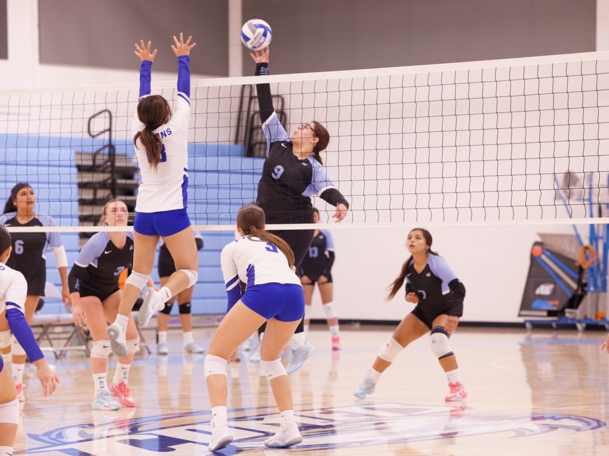 VOLLEYBALL 10825 (59)