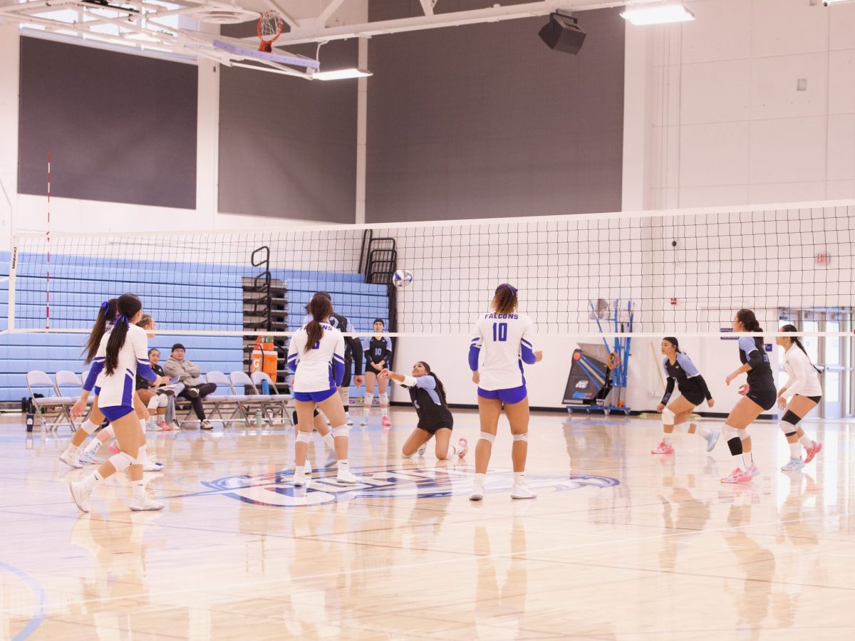 VOLLEYBALL 10825 (88)