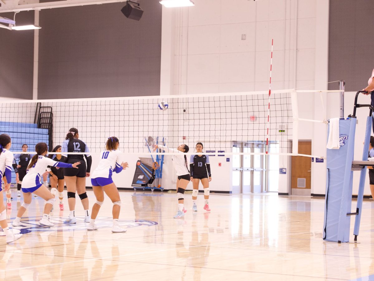 VOLLEYBALL 10825 (91)