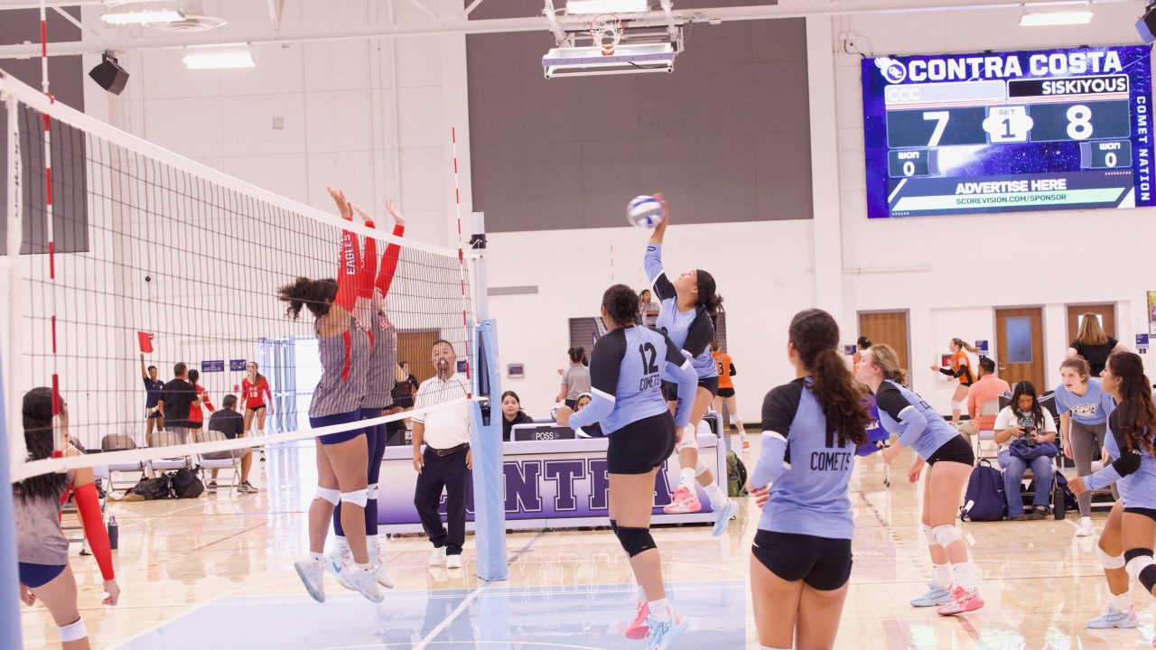 VOLLEYBALL 92625 (204)