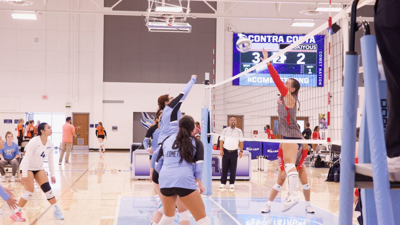 VOLLEYBALL 92625 (280)