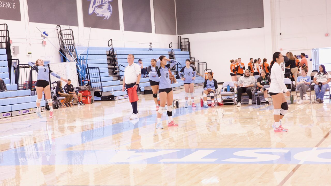 VOLLEYBALL 92625 (314)