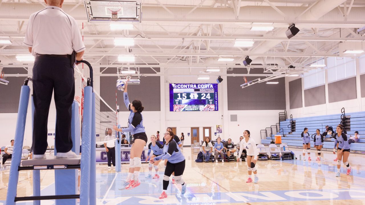 VOLLEYBALL 92625 (365)