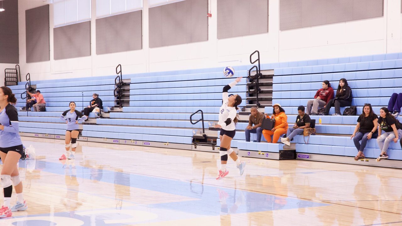 VOLLEYBALL 92625 (381)