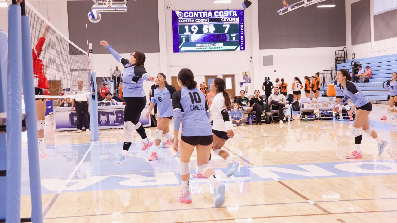 VOLLEYBALL 92625 (394)