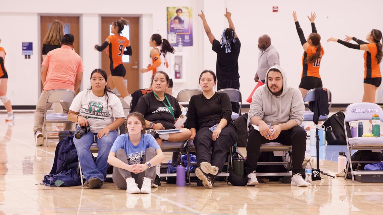 VOLLEYBALL 92625 (404)