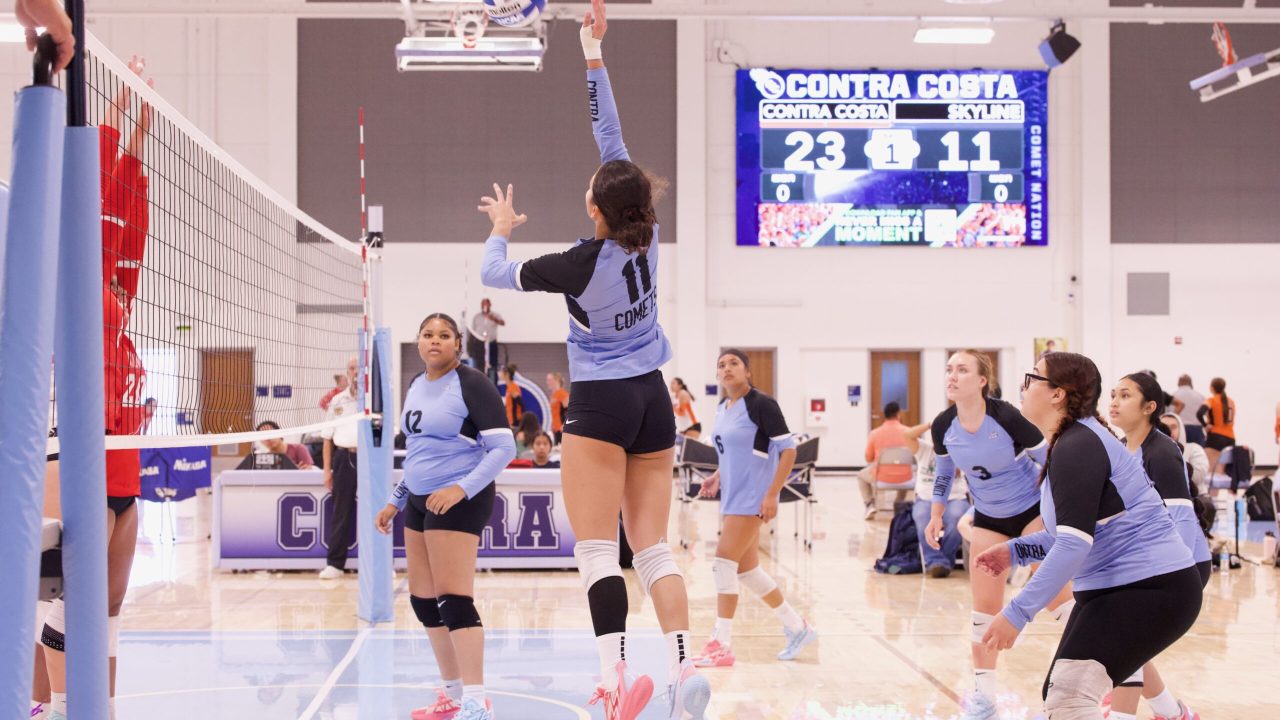 VOLLEYBALL 92625 (409)