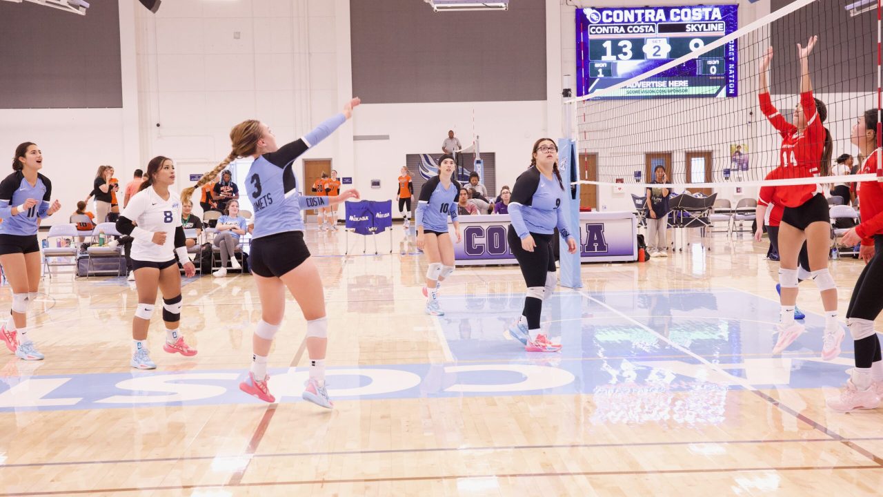 VOLLEYBALL 92625 (47)