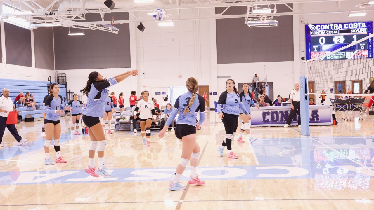 VOLLEYBALL 92625 (5)