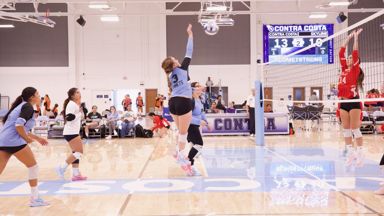 VOLLEYBALL 92625 (50)