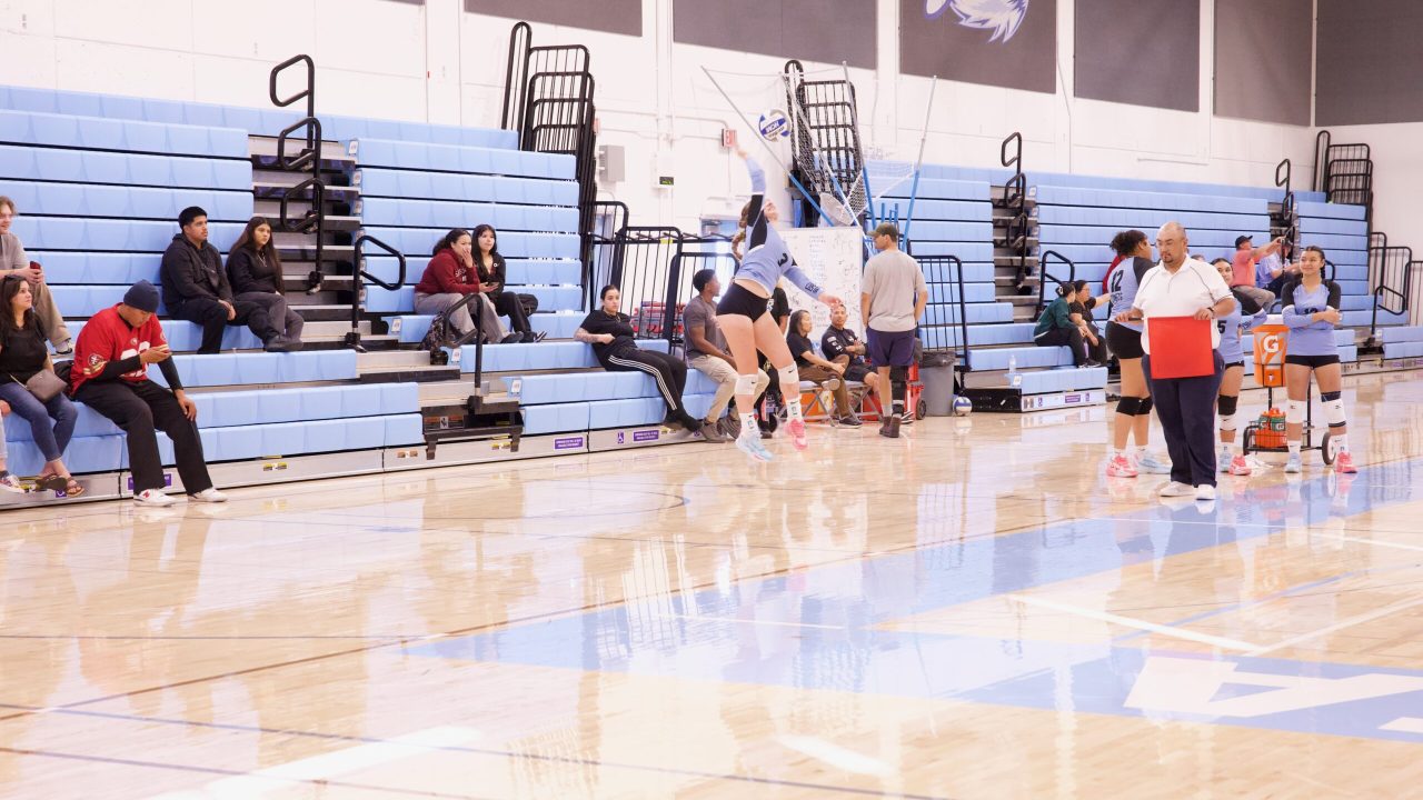 VOLLEYBALL 92625 (58)