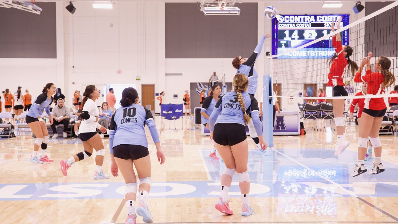 VOLLEYBALL 92625 (60)