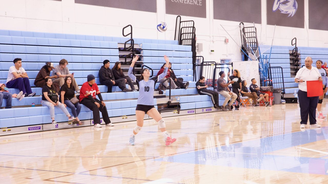 VOLLEYBALL 92625 (61)