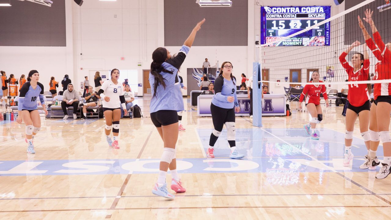 VOLLEYBALL 92625 (63)